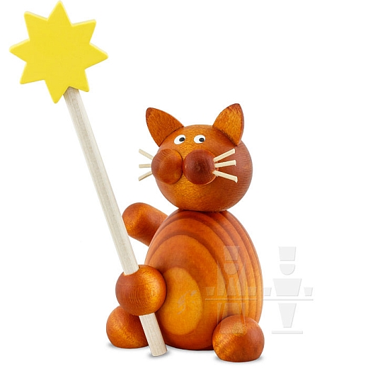 Cat Charlie with Star